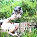 스테이 모량 이미지