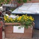 대신서문경로당 이미지