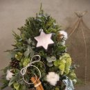 벤자민&데이지 이미지