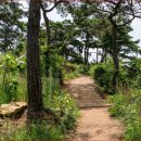 별헤는 다리 이미지