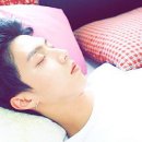 마몽 이미지