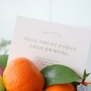너와과일 이미지