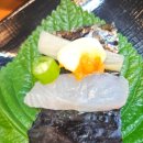 전천후횟집 | 춘천 애막골 스끼다시 잘나오는 횟집 전천후에서 모듬회 소 후기