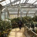 서귀포감귤박물관 이미지