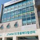 와우동물병원 | 전북동물병원 어디가 좋을까 고민하다가… 익산동물병원 ‘와우동물메디컬센터’ 가본 후기