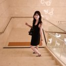 앰버서더 서울 풀만 호텔 🧡 | 남산뷰 이그제큐티브 룸 후기 ✨ | 수영장 👙 (어반이스케이프) 🏊🏻‍♀️ | GYM💪🏻🏋🏻