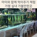 킨더아쿠아 | 가평여행 아기랑 아쿠아가든 가평카페 찐후기