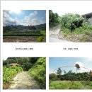 이포약국 이미지