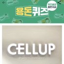 셀업성형외과