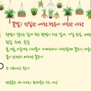 아이비상점 이미지