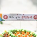 농사 풍년일세! 부모님을 위한 주문제작 환갑 레터링 농부 케잌, 서울 양천구 신정 오목교 배송 배달 후기