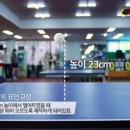 탁구1 이미지