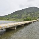 청도대나무숲하우스 이미지