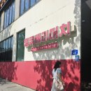 베리굿즈 | 대전 여행, 오씨칼국수, 땡큐베리머치 카페, 근현대사 전시관, 트래블라운지 굿즈, 성심당문화원