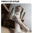 경현