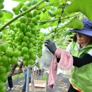 자매유통 이미지