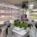 물누리체험관 이미지