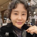 태양수선 이미지
