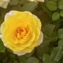 광명공판장 이미지