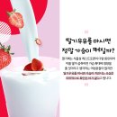딸기우유 카카오 검색결과