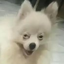 구리구리뽑기방 | 26살? 완~전~ 아저씨잖아!