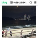 바구쁘 네이버블로그