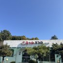 대전 유성 ‘홍기와쭈꾸미’ 내돈내산 솔직후기