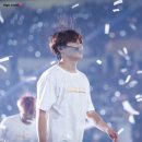 오늘의 댕댕 이미지