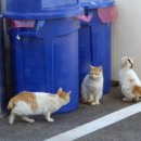 형제셀프세차장 이미지