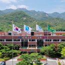 시청정약국 이미지