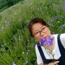 화천흑염소농장 이미지