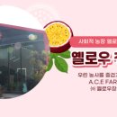법인옐로우창농