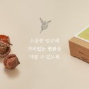 감성숲