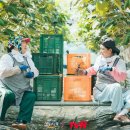 남매한우농장 이미지