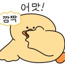 나제바메 이미지