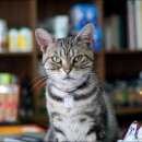 노룬산동물병원 이미지