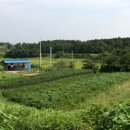 정수농장 이미지