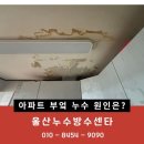삼신현대아파트경로당 | 울산 삼신현대아파트 부엌 싱크대 천장 누수 공사 후기
