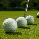 신영골프 이미지