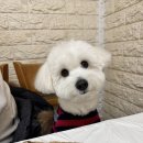 무지개생선구이 이미지