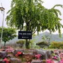 프레쉬 힐 이미지