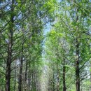 바람의정원 이미지