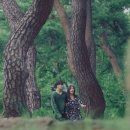 옥화 이미지