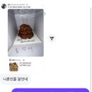 어린이집 학예 발표회 | 또 개강을 하다...
