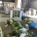 TOP태권도 이미지