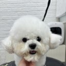 몽글몽글 이미지