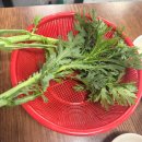 절골식당 | 청량리 노포, 블루리본 웨이팅 맛집_돼지곱창절골 은하곱창