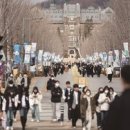 Point-붉은 날 이미지