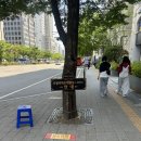 호텔리츠 | 수원 가성비 웨딩홀 견적 상담 후기 호텔라뷔포레(구 호텔리츠)