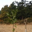 승리농장 이미지